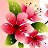 Floral